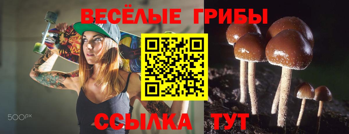 Галлюциногенные грибы GOLDEN TEACHER Саратов