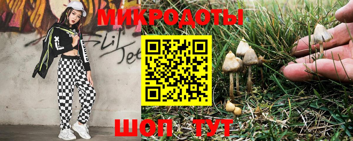 Псилоцибиновые грибы GOLDEN TEACHER  купить наркоту  Саратов  Галлюциногенные грибы GOLDEN TEACHER  Вход с VPN 